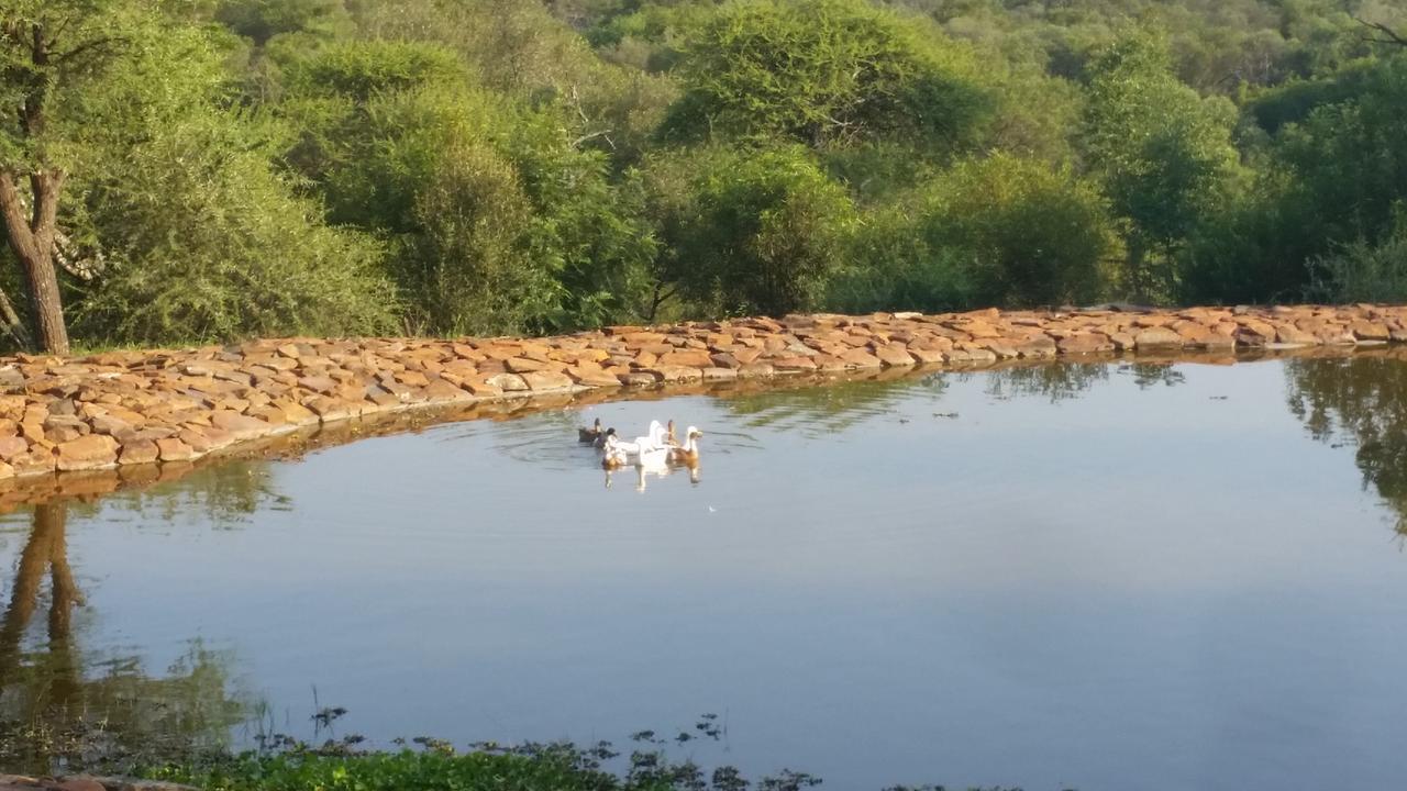 Kaya Inkuni Game Lodge Rustenburg Buitenkant foto